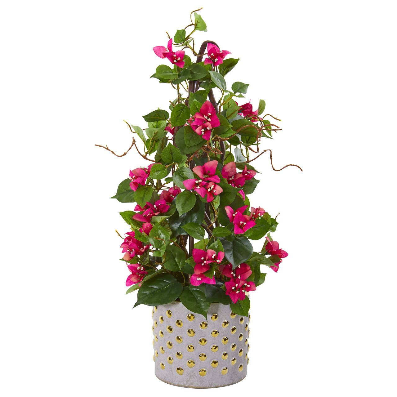 2ft. Pink Bougainvillea Climbing Tree in Designer Vase